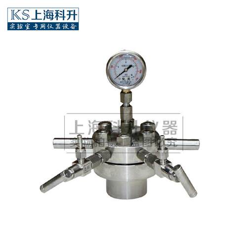 简易不锈钢高压反应釜CF-0.025L-20L高压釜实验室高压釜