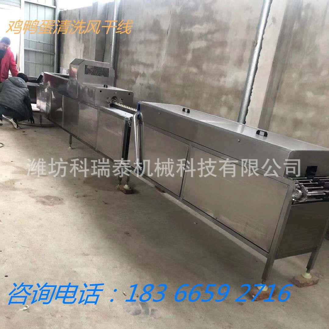 小型鸡蛋清洗机供应商 山东洗蛋机厂家 滚轮毛刷洗蛋机快速洗鸭蛋
