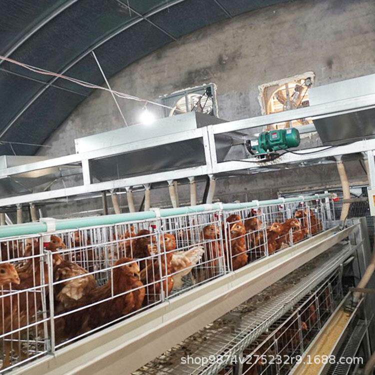 鸡舍自动喂鸡饲料设备全国售后安装鸡场投料机全自动饲喂设备