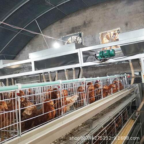 鸡舍自动喂鸡饲料设备全国售后安装鸡场投料机全自动饲喂设备