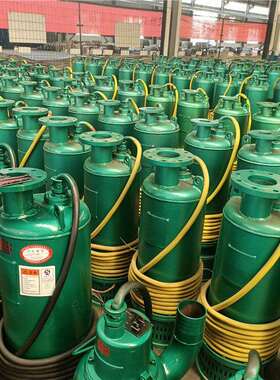 BQS矿用隔爆型排沙潜水电泵 BQS150-90-75kw 防爆潜污泵660v1140v