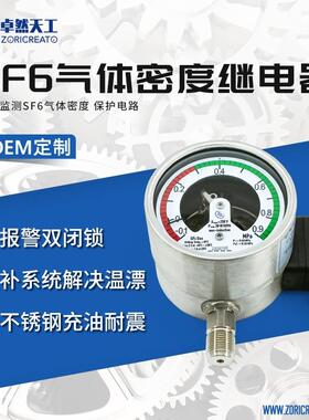 六氟化硫SF6气体密度继电器不锈钢充油压力表耐震高压电气行业用
