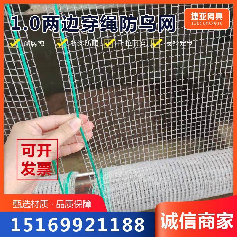 果树果园防鸟网两边穿绳农用大棚防鸟网蔬菜网养殖网鱼塘网可定制