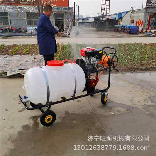 汽油手推打药机 拉管高压果树喷雾器 电动手推打药机