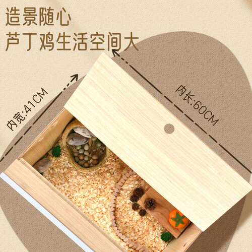 芦丁鸡饲养箱全套专用宠物笼子育雏室内保温箱恒温仓鼠窝造景用品