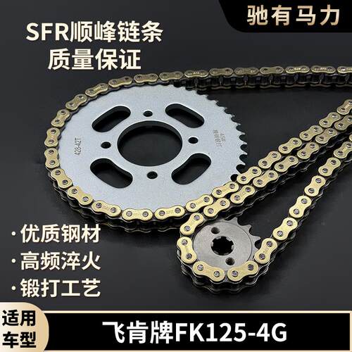 适用飞肯牌FK125-4G牙盘加厚油封链条大小齿飞轮摩托车配件套链