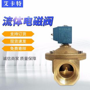 DN25黄铜耐高温水蒸汽电磁阀 意大利CEME 8616VV250SBDF AC230V
