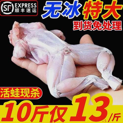 牛蛙鲜活新鲜速冻特大牛蛙腿去内脏去皮烧烤食材冷冻商用水产田鸡