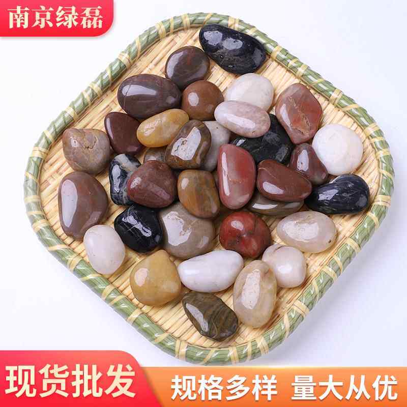 鹅卵石雨石石700原石天然小子鱼缸花盆鹅软庭院装花饰石园艺五彩