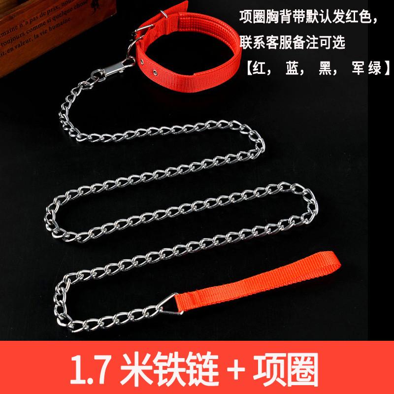 狗狗牵引绳铁链泰迪金毛遛狗绳狗链子小型中型大型犬项圈宠物用品
