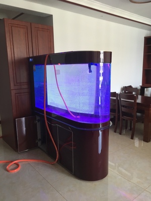 德国德克**头鱼缸怎么样用后告诉大家实情