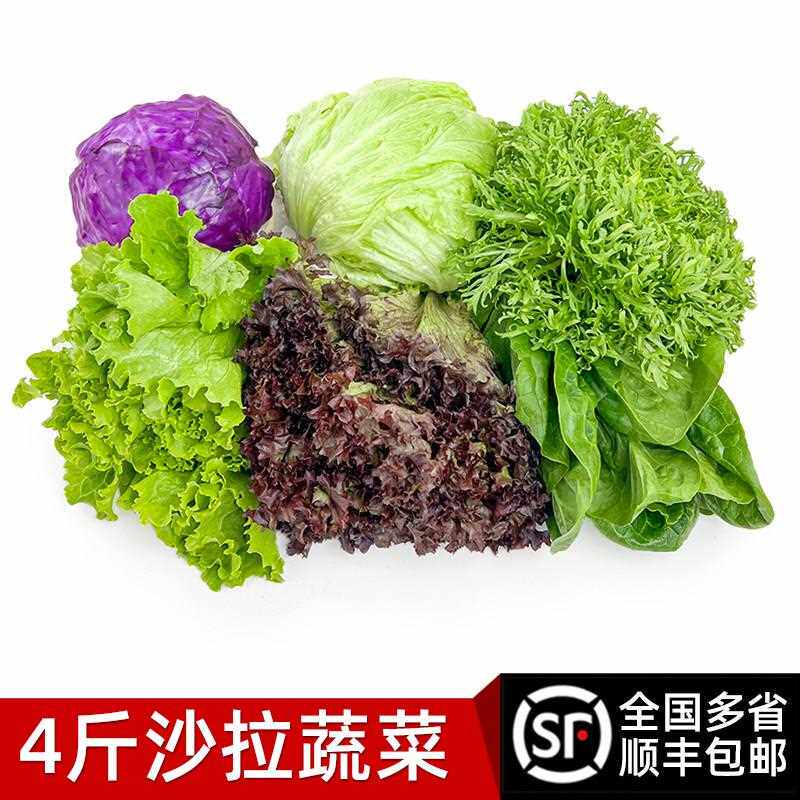 沙拉蔬菜组合4斤 新鲜混合蔬果生菜色拉健身轻食套餐西餐沙拉食材