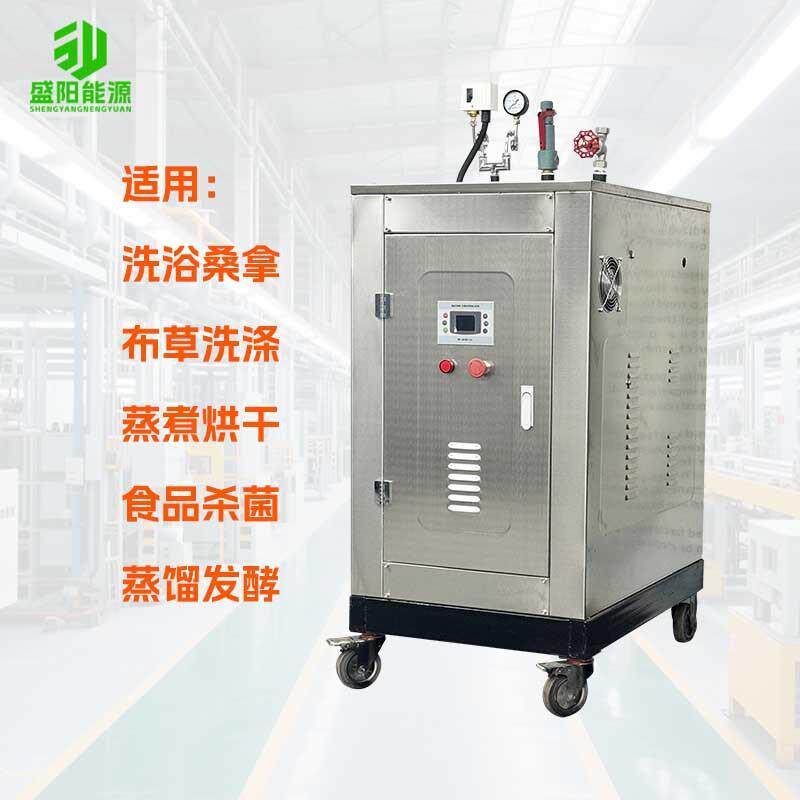D级免检蒸汽锅炉生物质蒸汽热源机蒸包子煮凉皮小型蒸汽机