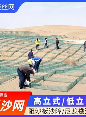 金塔用低式阻沙网防沙网格治沙工程围网墨绿色沙漠防起沙网障