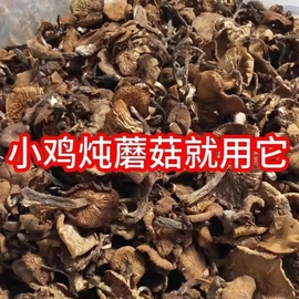 榛蘑东北野生蘑菇特干货级罐装长白山小鸡炖香菇的干臻蘑榛菇包装