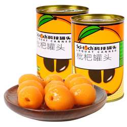 黄岩科技糖水枇杷罐头408克*5罐 烘焙商用烤梨店餐饮甜品水果罐头