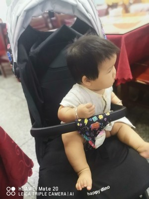 小龙哈彼婴儿推车怎么样，入手真实评测反馈？不看后悔