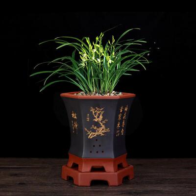 手工紫砂六角花盆 墨兰专用陶瓷花盆 中国风描金刻绘花盆 透气紫