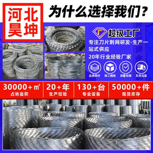 带现货热IEI双镀锌绳刀片刺监狱护栏围墙防攀爬滚笼股螺旋刺铁丝