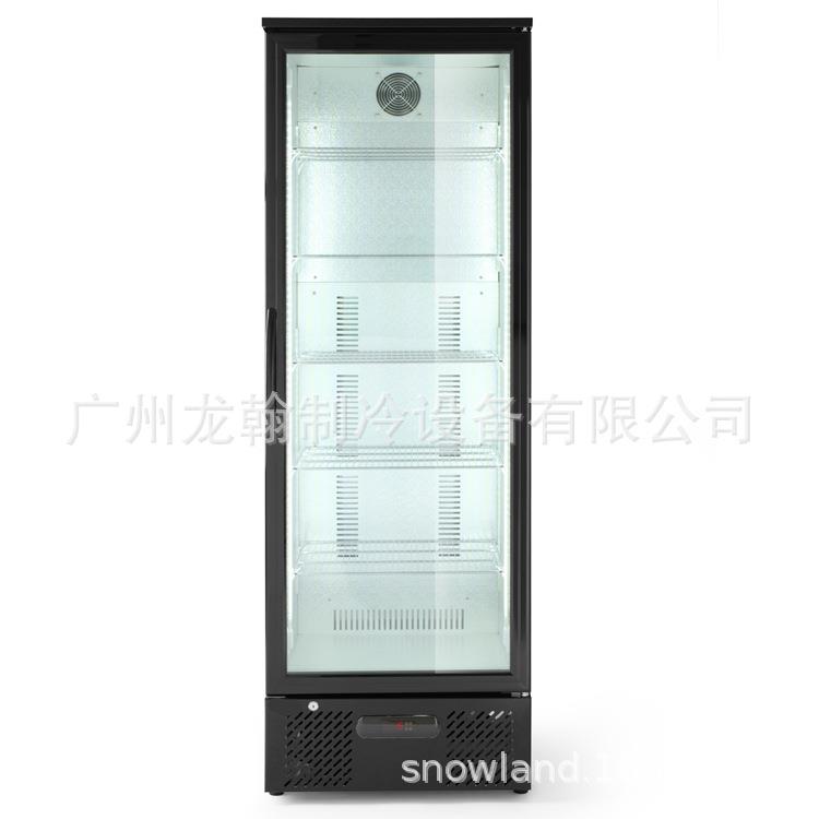 立式商用冷藏冰柜玻璃门饮料展示冷柜