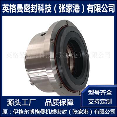 300-300-22S6机械密封 适用于酸王H型浆液泵机械密封 厂家直供
