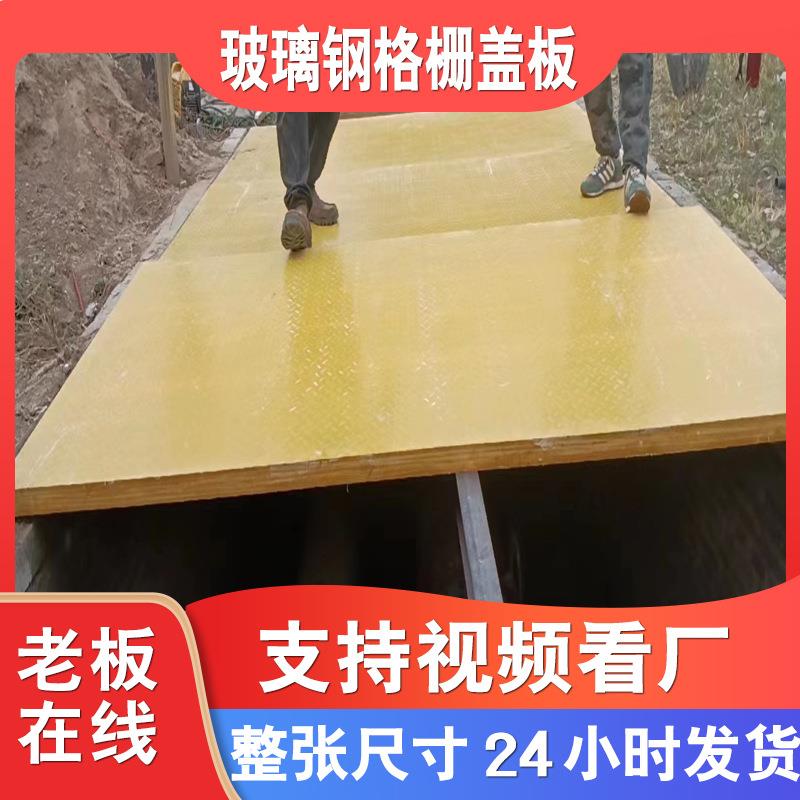 玻钢网格板养殖格栅污水池地璃盖板洗LGU篦车沟房地格栅玻璃钢树
