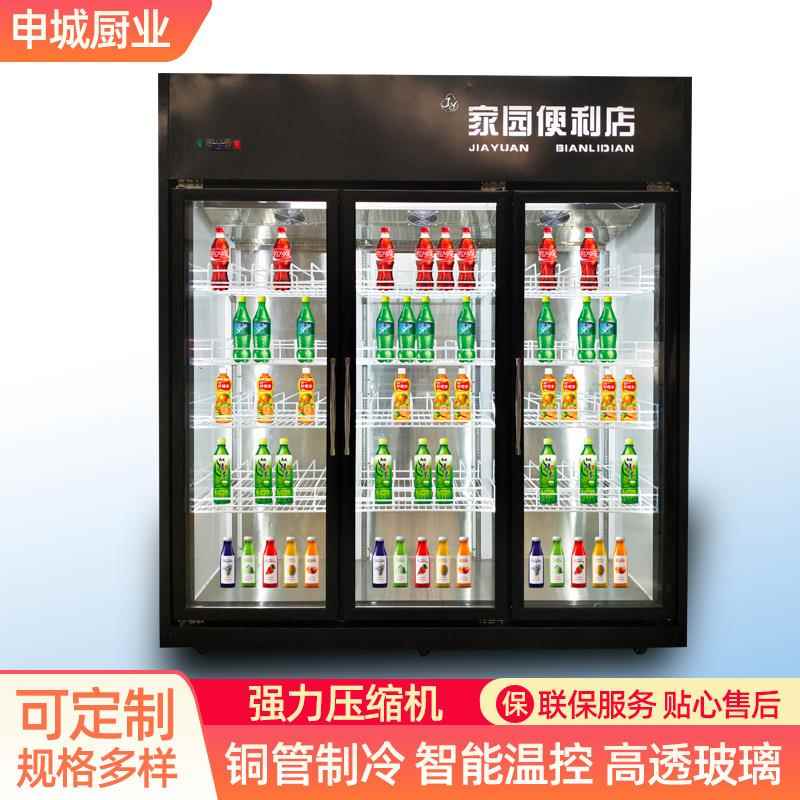 啤酒展示冷藏柜 商用立式饮料柜酒吧 冰箱超市单门保鲜陈列冷柜