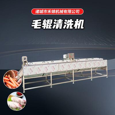 净菜加工设备毛辊清洗机毛刷式土豆红薯去泥清洗自动土豆清洗机