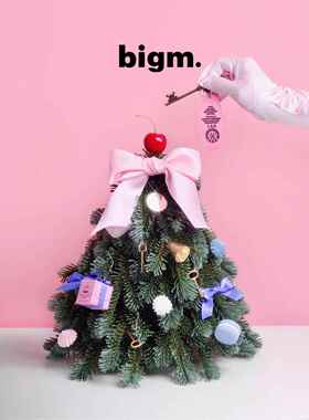 彼更bigm高定礼盒布达佩斯彷真诺贝松圣诞节树花环门挂袜节日礼物