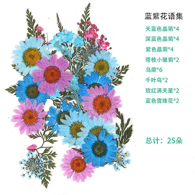 树叶粘贴画枫叶幼儿园标本手工diy梧桐叶银杏叶压花植物书签叶子,家居饰品,餐桌花艺,淘宝优惠券,粉丝福利购,淘宝优惠卷