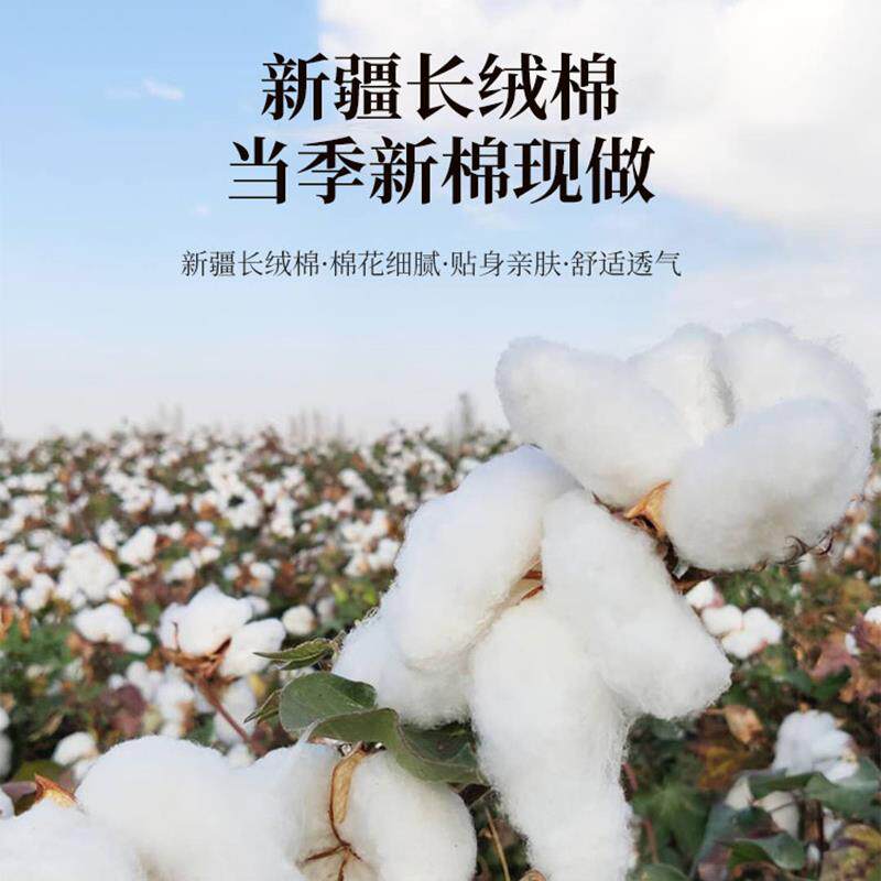 唯美轻奢A类高支长绒棉花卉刺绣床上四件套被套床单纯棉床笠