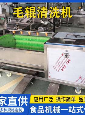 大型毛辊清洗去皮机烧羊头猪蹄毛刷清洗机生姜芋头去泥沙清洗设备