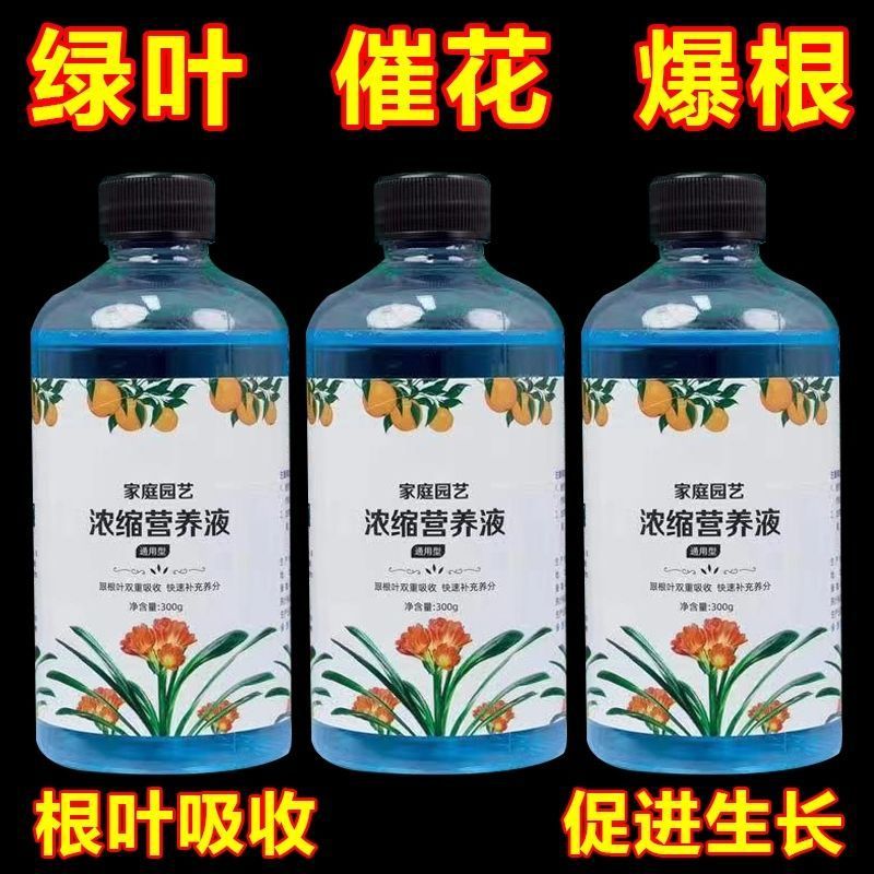 营养液发财树富贵竹浓缩生物菌肥