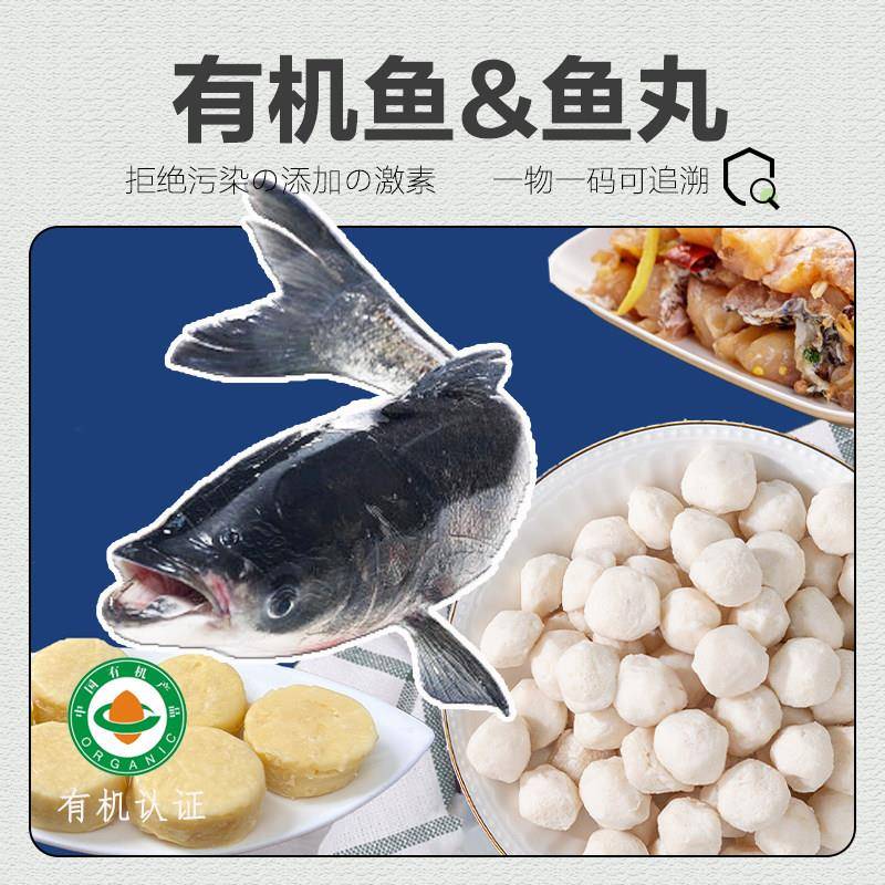 有机鳙鱼 胖头鱼新鲜速冻鱼柳鱼丸鱼头宝宝辅食南都湖淡水鱼