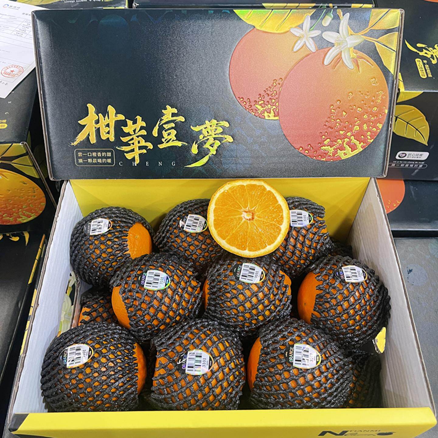 新货正宗谦和伦晚橙礼盒装大果新鲜当季水果甜嫩多汁晚橙脐橙