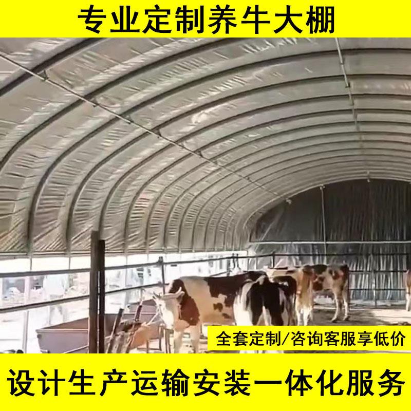 养殖大棚钢管骨架全套椭圆管温室牛棚猪棚羊圈养鸡鸭鹅兔猪舍搭建