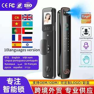 外贸人脸识别指纹锁家用防盗门可视密码 锁电子锁智能门锁智能