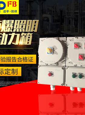 BXM(D)51系列防爆照明动力配电箱 洛平防爆厂家 型号规格 IICT6
