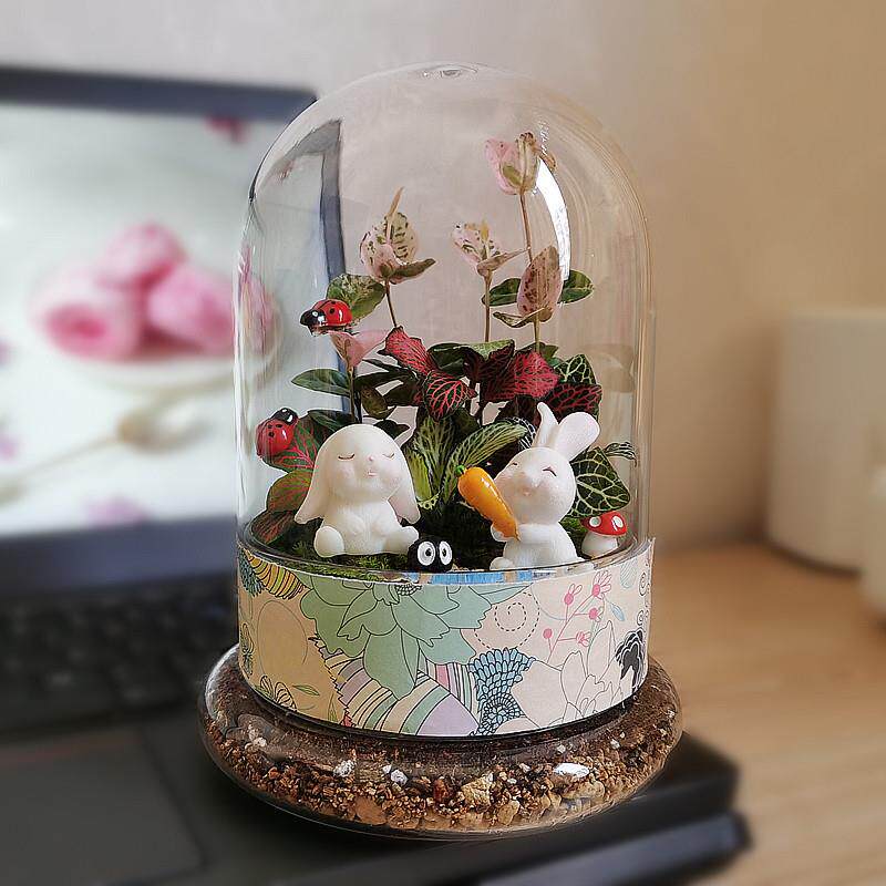 包邮生态瓶苔藓微景观diy套装植物玻璃罩瓶材料暖场活动手工盆栽