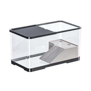 华乌龟活宠物观赏家养中草龟珍珠型巴西花龟小小好幼龟苗other耐