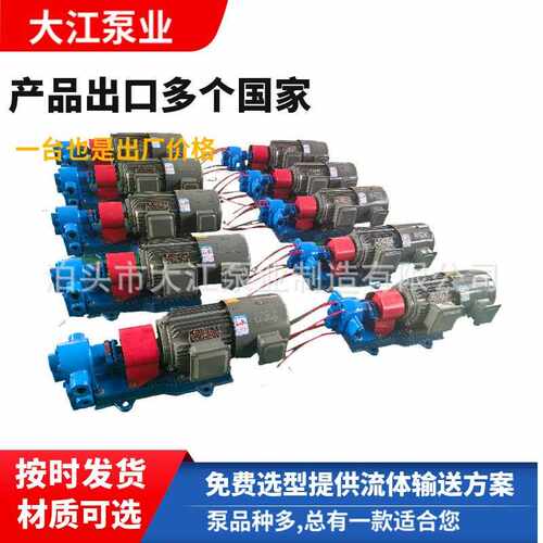 现货2CYG不锈钢齿轮泵洗衣液洗洁灵化工液体齿轮泵自吸油类用泵