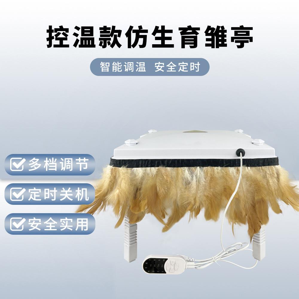 厂家控温养殖保温设备育雏亭小鸡加热器调温保温板宠物育雏器