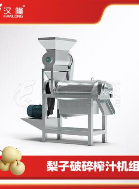 不锈钢大型工业破碎生姜榨汁机组挤压式蔬菜水果螺旋榨汁破碎设备