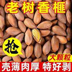 2026新货香榧诸暨特产坚果嵊州香榧子260g含包装休闲零食散装