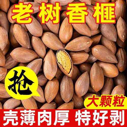 嵊州新货休闲零食香榧子诸暨散装