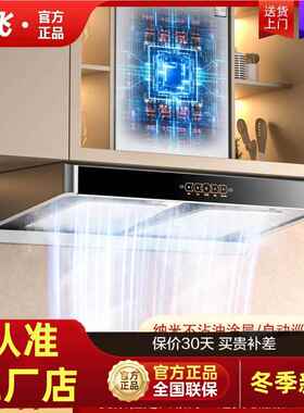 新飞抽油烟机家用厨房静音顶吸式双腔大吸力变频油烟机自动清洗