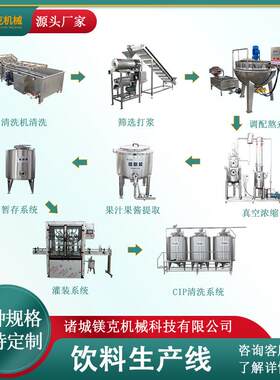 金刺梨深加工生产线设备 鲜桃配方饮料制作设备 果汁饮料加工机器