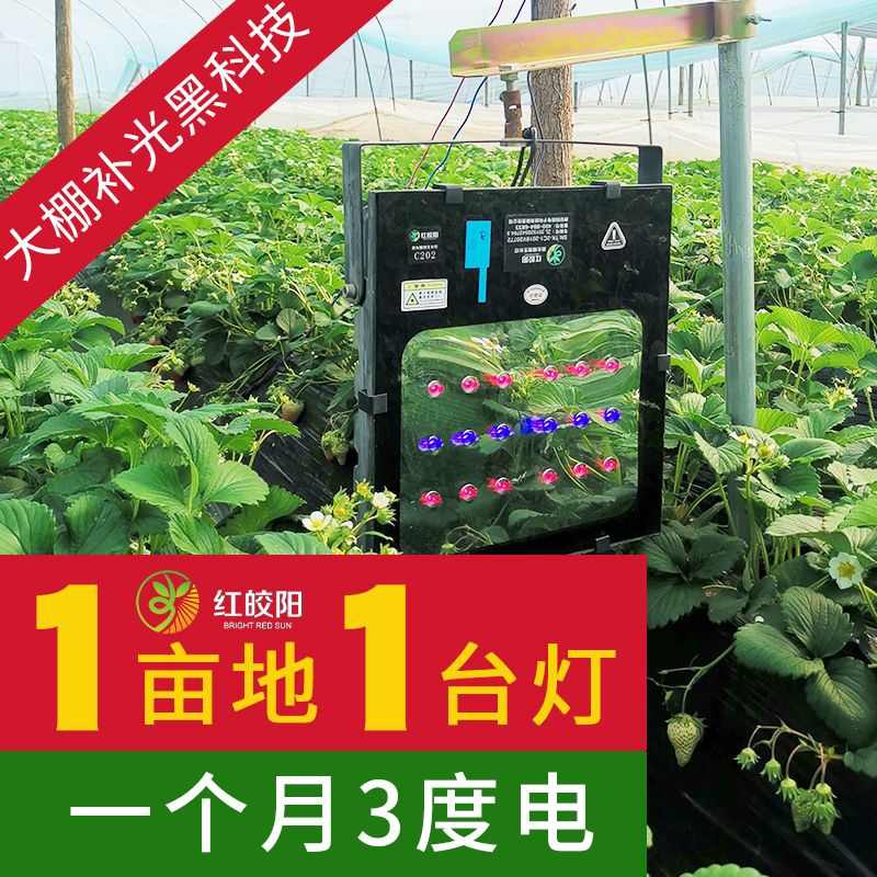 大棚专用激光补光灯草莓樱桃蔬菜增产增温灯饱光灯温室植物生长灯