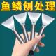 Scaler Tool Manual Steel Kitchen Fish Home Stainless for