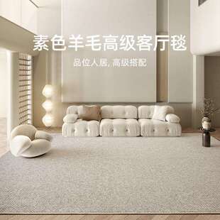 地毯客厅2024新款 极简素色高级客厅毯子耐脏吸尘沙发踩脚垫茶几毯